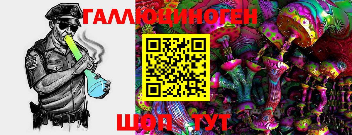 Псилоцибиновые грибы MAGIC MUSHROOMS  Псилоцибиновые грибы GOLDEN TEACHER  Электросталь  Вход с VPN 