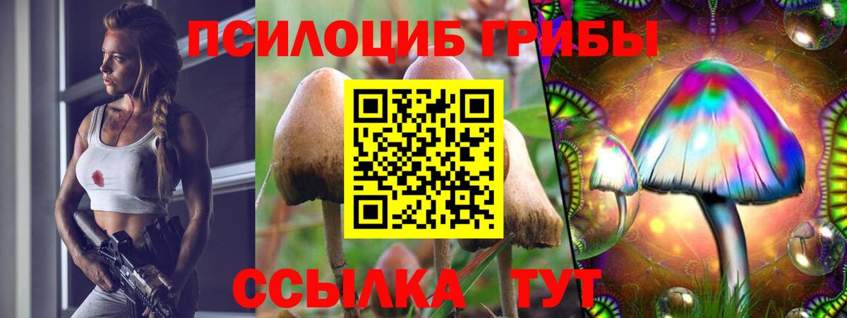 Псилоцибиновые грибы Psilocybine cubensis Электросталь